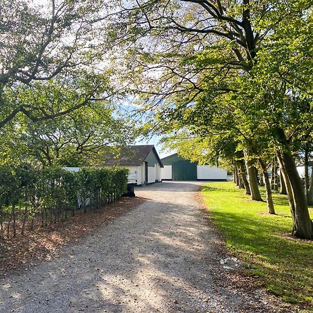 Country Guesthouse Gadstrup Kültér fotó